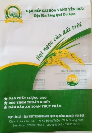 Gạo Nếp cái Hoa vàng Yên Đức (01kg)